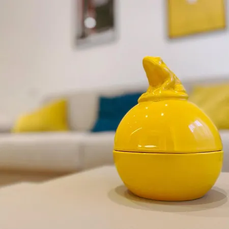 Experience * Perúgia